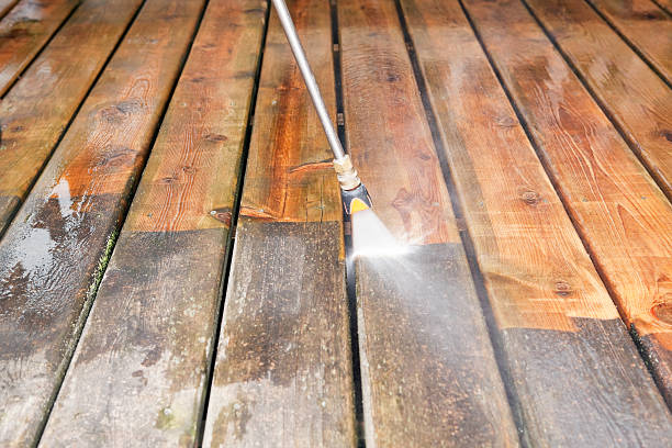 Best Driveway Pressure Washing  in Mishicot, WI